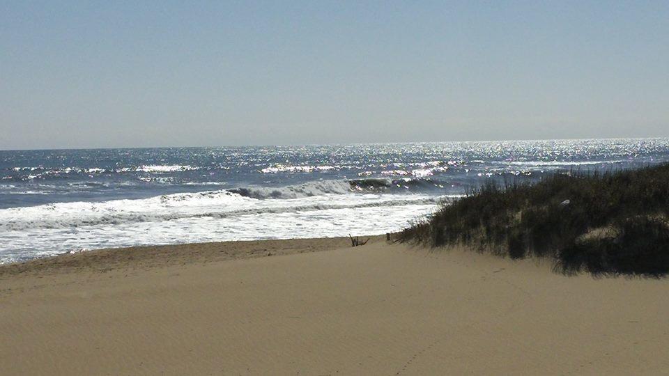 Outer Banks Motor Lodge Kill Devil Hills Εξωτερικό φωτογραφία